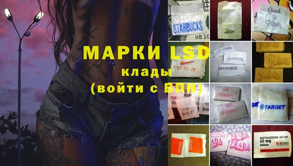mdpv Волоколамск