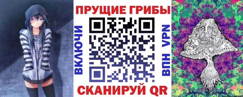 Псилоцибиновые грибы Psilocybine cubensis  Искитим 